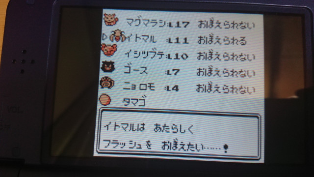 (キャプション自動取得対象外)
